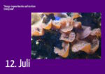 12. Juli