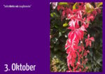 3. Oktober