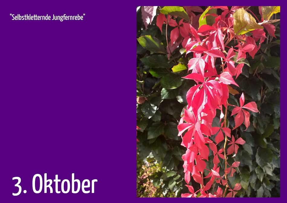 3. Oktober