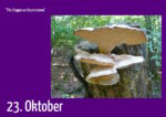 23. Oktober