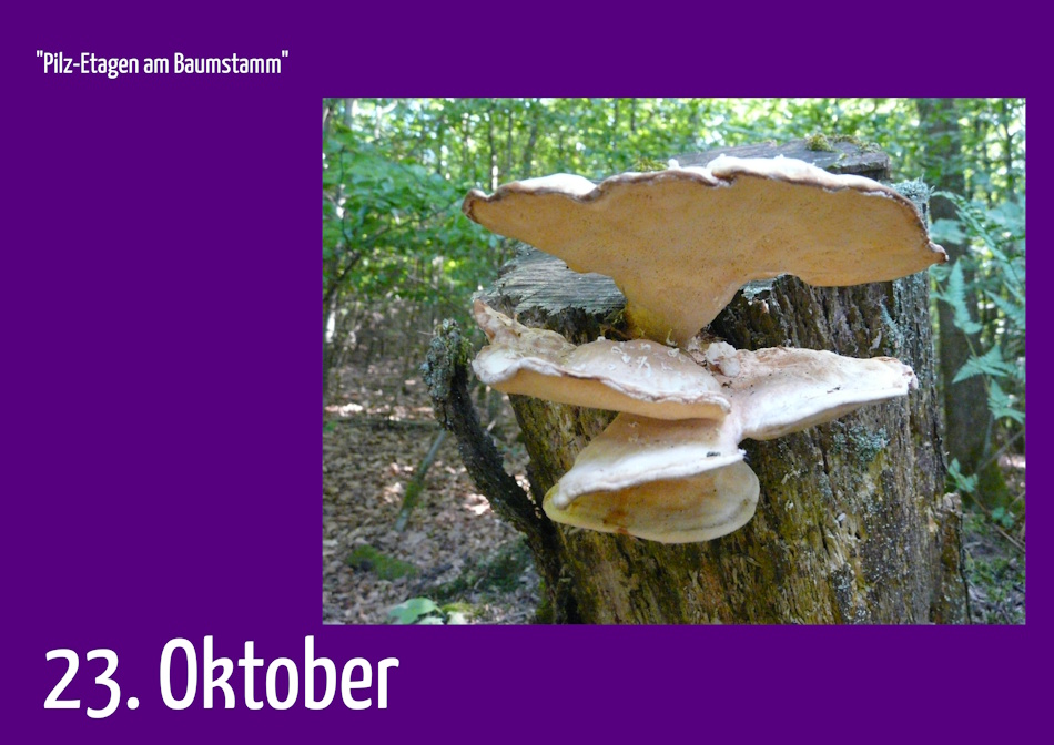 23. Oktober