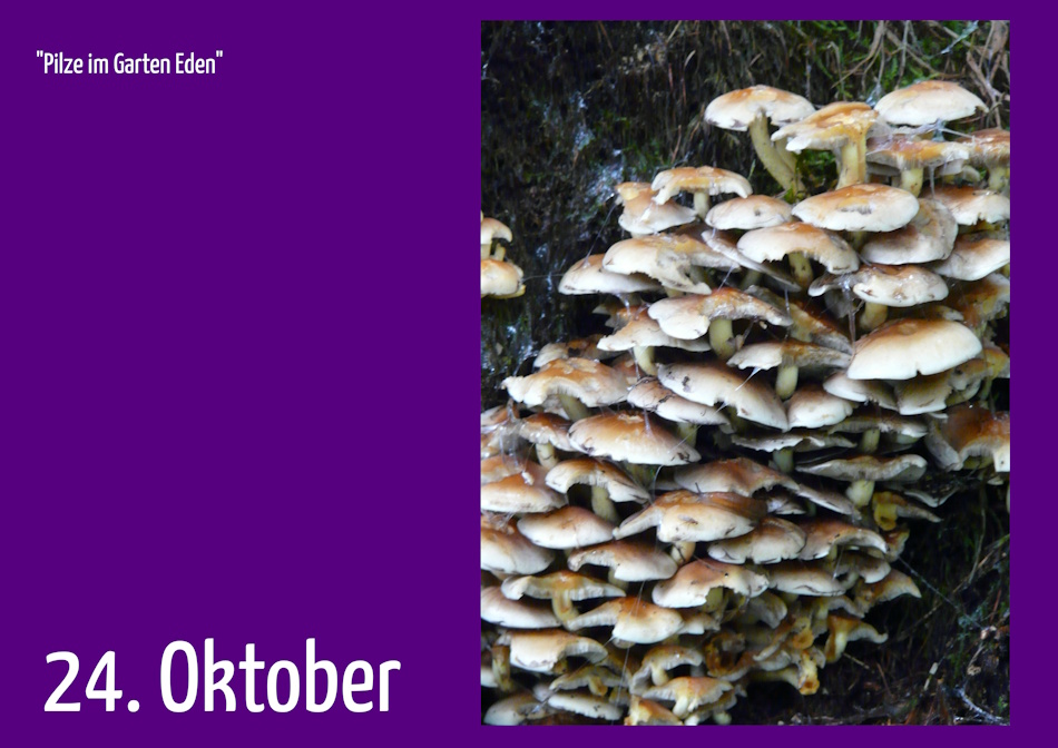 24. Oktober