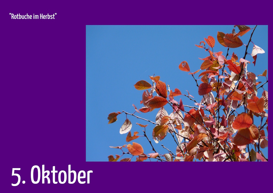 5. Oktober