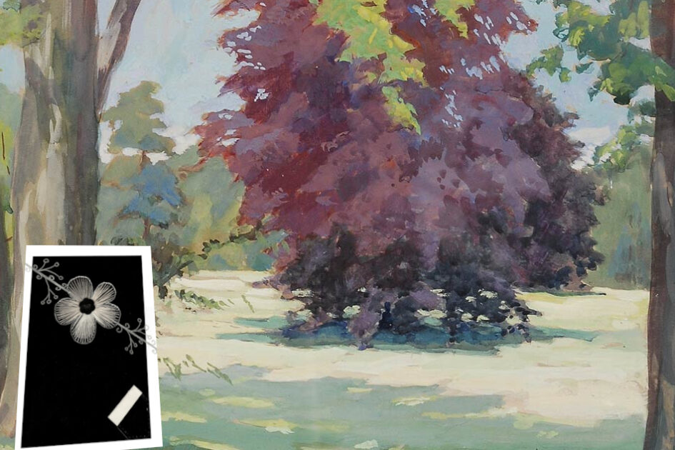 Grußkarte, Fadendesign, „Sommer im Park“, Gemälde, Blüte des Lebens